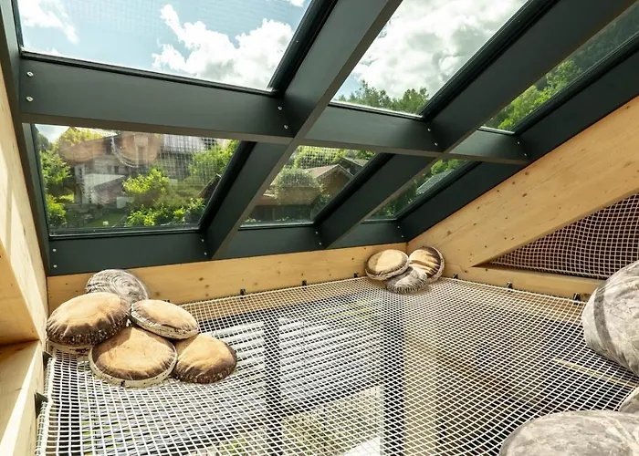 Appartement Enjoy Chamonix